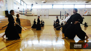 Iaido, The art of drawing the sword 