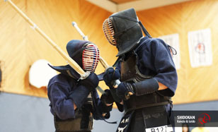 Kendo Tsuba-tzeriai